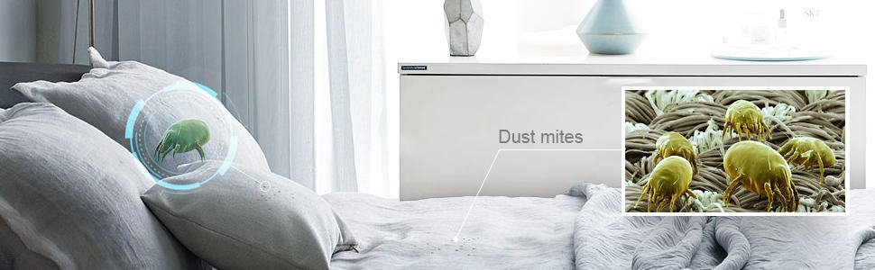 the best bed bug steam cleaners