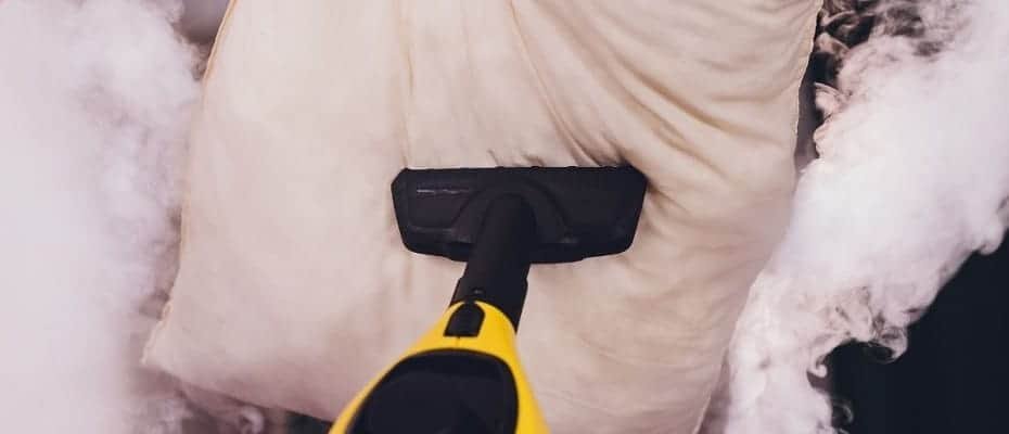 the best steam cleaner to get rid of bed bugs