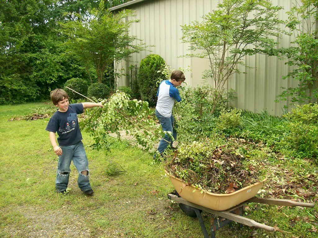 spring yard clean up cost