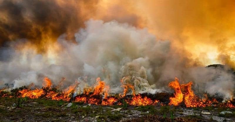 How to Survive a Wildfire at home