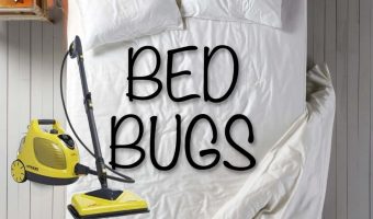 Review of the best bed bug steamers