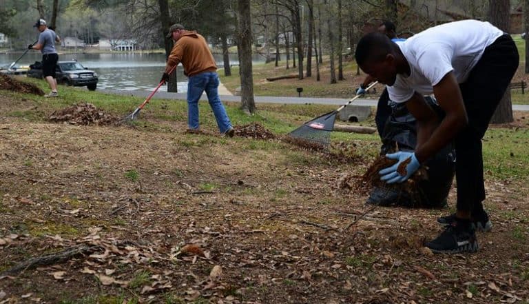 how to do spring yard clean up
