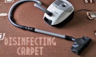 how to disinfect carpet naturally