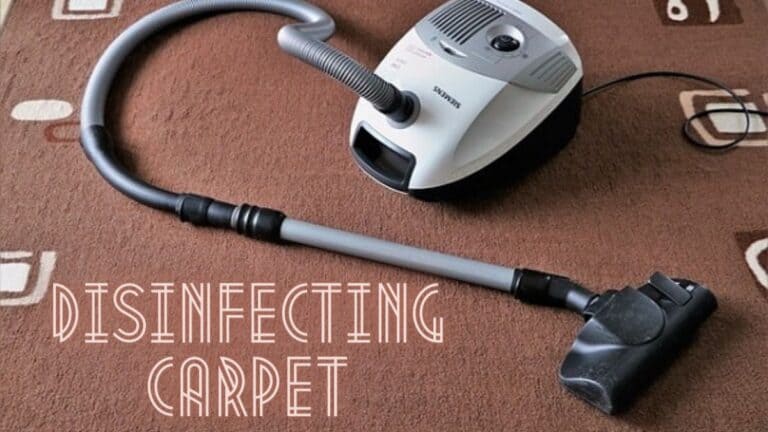 how to disinfect carpet naturally
