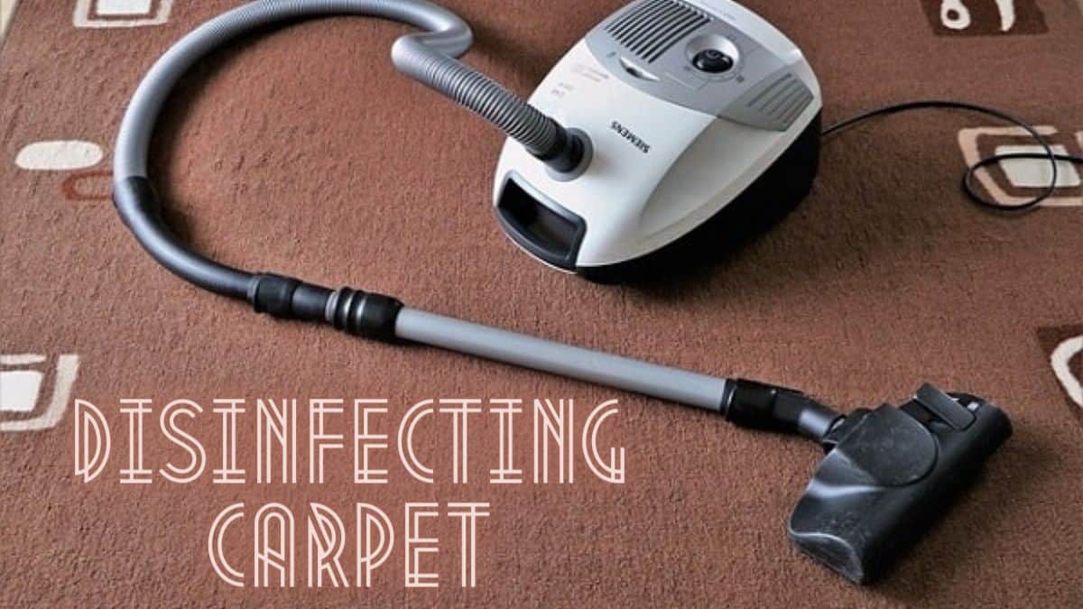 How To Disinfect Carpet With Or Without Steam Cleaner?