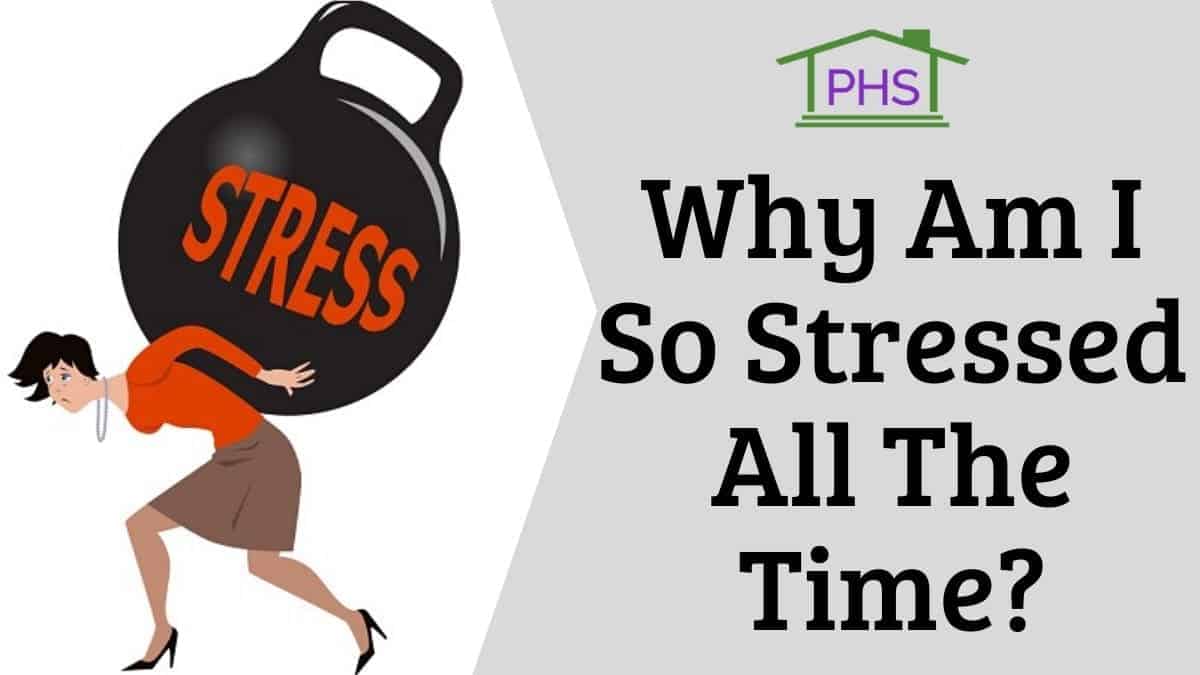 why-am-i-so-stressed-all-the-time-simple-causes-you-should-never-neglect