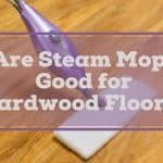 are steam cleaners good for hardwood floors