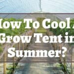 How To Cool A Grow Tent in Summer