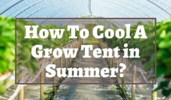 How To Cool A Grow Tent in Summer