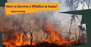 how to prepare for a wildfire