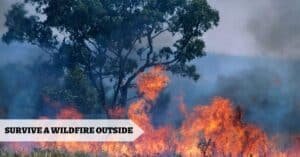 how to survive wildfire outside