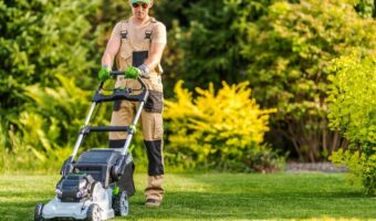 Factors Contributing to Lawn Weed Growth in Summer