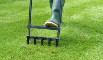 Step-by-Step Guide to Lawn Aeration in Summer Months