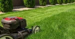 Common Mistakes to Avoid When Dethatching Your Lawn During the Summer Months